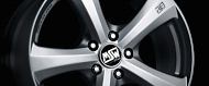 msw19