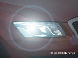 BREX HID